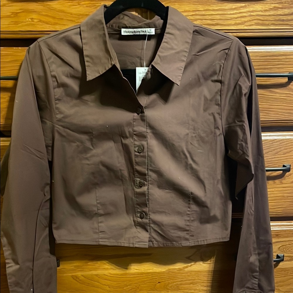 Abercrombie & Fitch Brown Button-Up Shirt